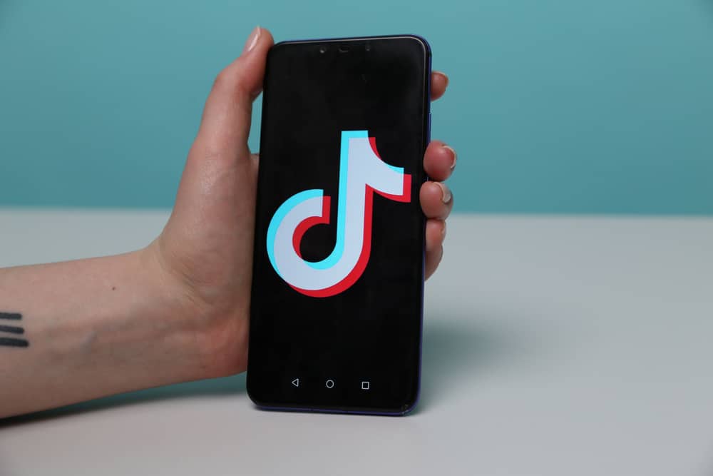 Kauf von TikTok Views legal oder nicht? AboLöwe zeigt dir die sichere Lösung